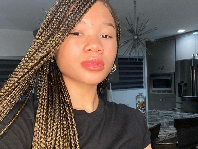 These Celebrities Prove Box Braids Are The Perfect Quarantine Hairstyle