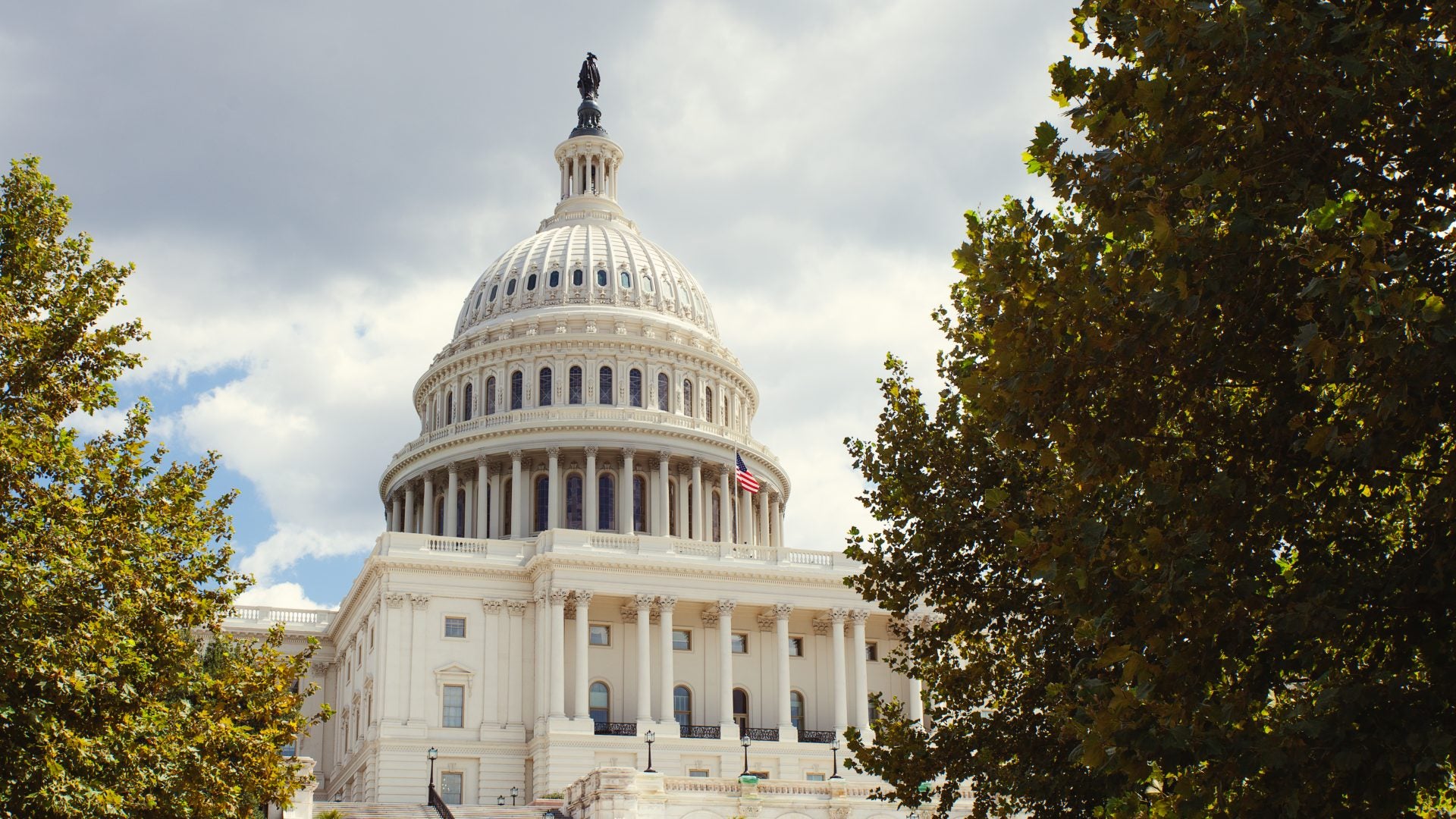 New Report: Black Women Underrepresented In Elected Office Despite Civic Engagement